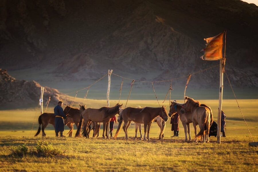 From Ulaanbaatar: Day Trip to Hustai National Park - Should you book Hustai National Park?