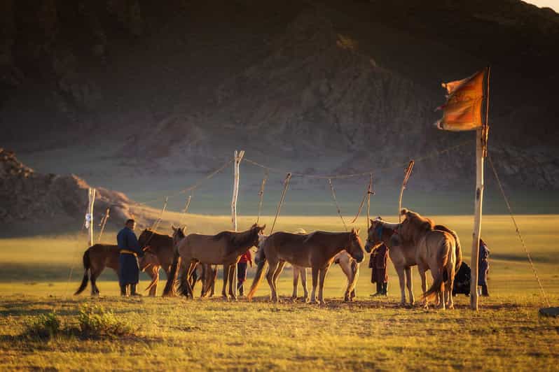 From Ulaanbaatar: Day Trip to Hustai National Park - Looking for takhi in the park