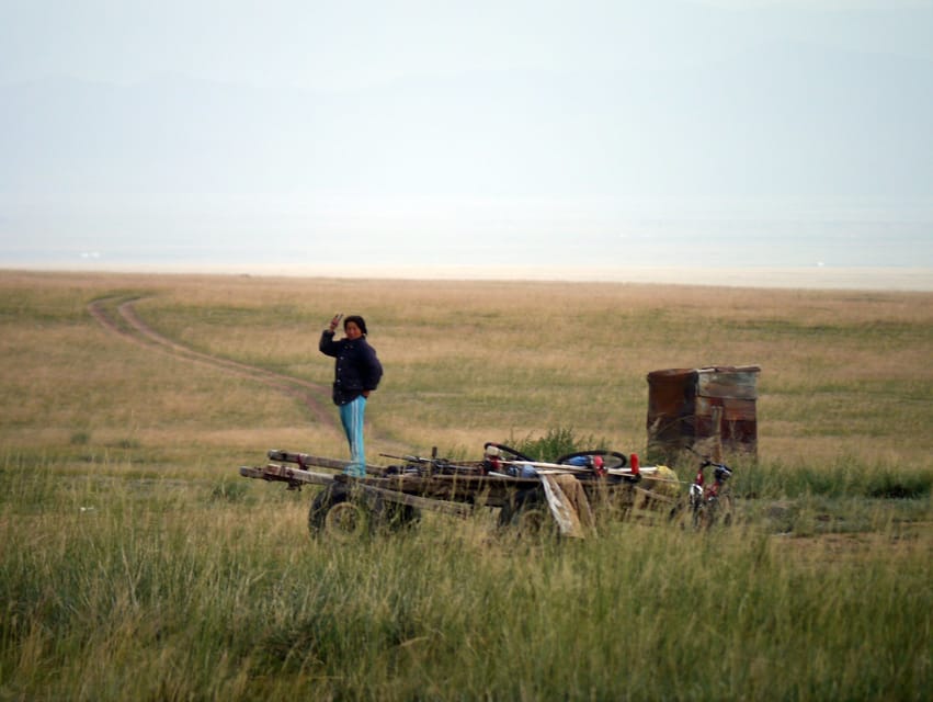 From Ulaanbaatar: Day Trip to Hustai National Park - Lunch and a taste of nomadic life