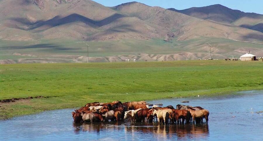 From Ulaanbaatar: Day Trip to Hustai National Park - Timing problems you should plan around