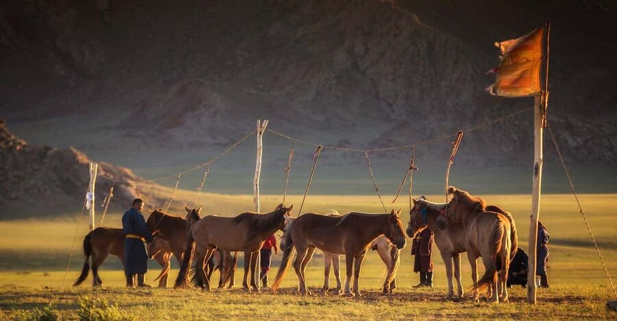 From Ulaanbaatar: Day Trip to Hustai National Park - The $195 price and what it buys