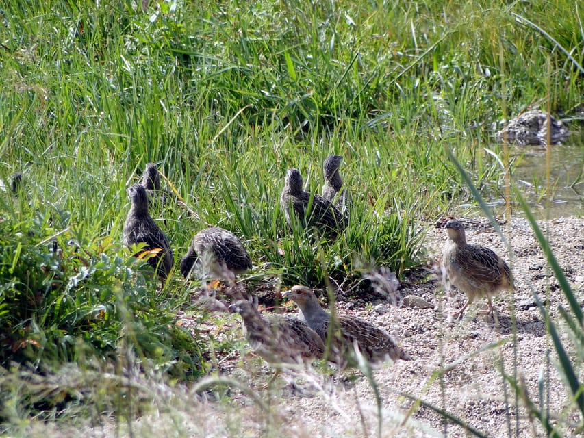 From Ulaanbaatar: Day Trip to Hustai National Park - Who should book this day trip?