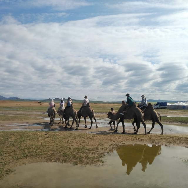 From Ulaanbaatar: Mini Gobi, Wild horse - Terelj tour - The six experiences that define this tour