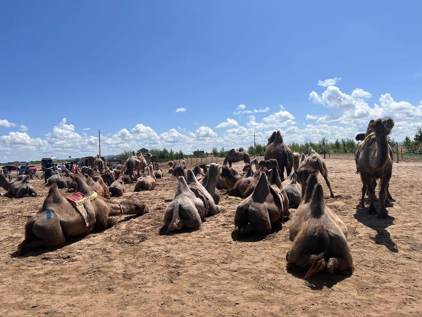From Ulaanbaatar: Semi Gobi and Ancient Kharkhorin Tour - Erdene Zuu Monastery and Mongolia’s spiritual past