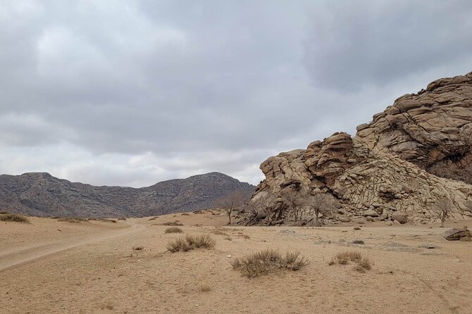 Full Day Private Jeep Tour to Elsen Tasarkhai, Semi-Gobi - Food, drinks, and included costs