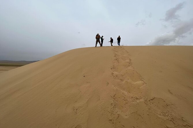 Full Day Private Jeep Tour to Elsen Tasarkhai, Semi-Gobi - How this compares with a longer Mongolia itinerary