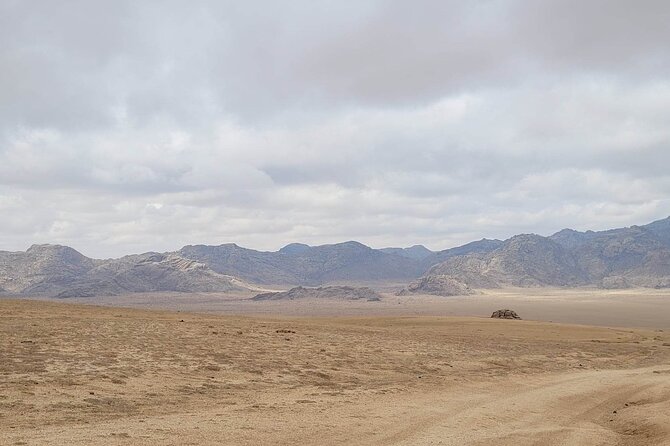 Full Day Private Jeep Tour to Elsen Tasarkhai, Semi-Gobi - What makes Elsen Tasarkhai different