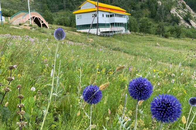 Full Day Private Tour in Terelj National Park with Horse Riding - Turtle Rock and the Ariyabal Meditation Temple