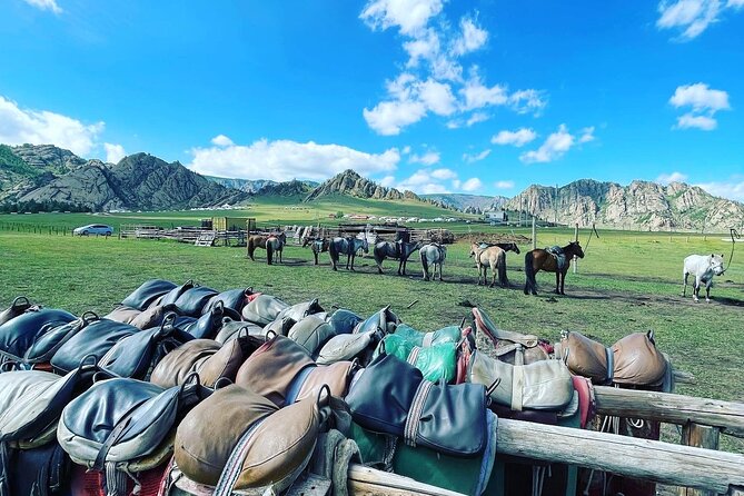 Full Day Private Tour in Terelj National Park with Horse Riding - The guide makes or breaks a packed day