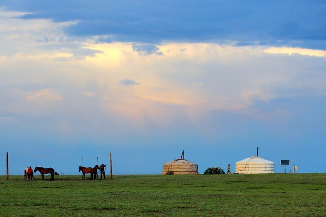 Gobi desert Mongolia for 8 days - Why this Gobi route works well