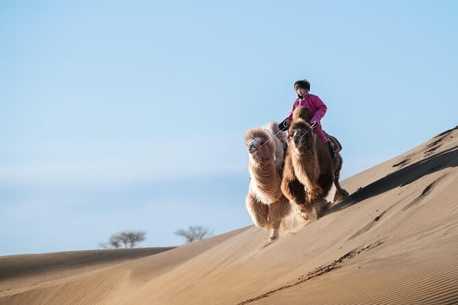 Gobi tour Mongolia 7 Days - Why this seven-day route works