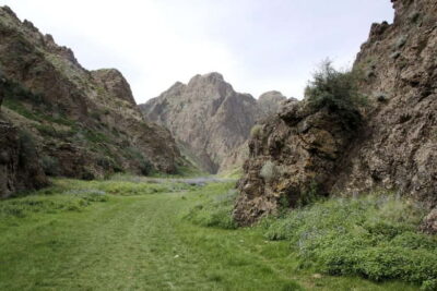 Great Gobi 7 Days Tented Tour