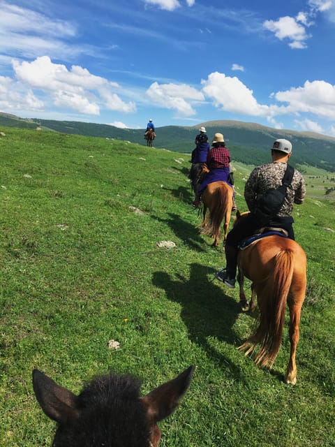 Horse riding experience in Terelj National park 1 day - What the $210 price really buys you