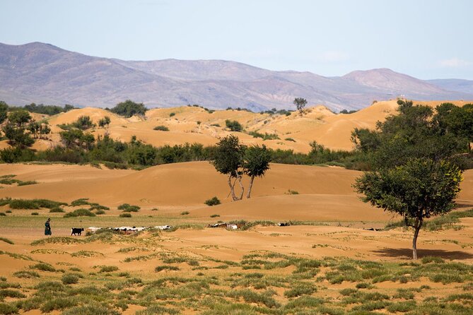 Immersive Mongolian Gobi experience, Camel, Cousine, Stargaze, 2D - Two Days, Two Sides of Mongolia