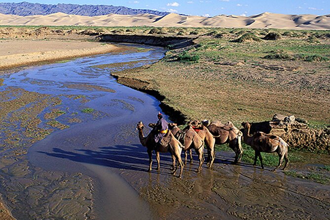 Immersive Mongolian Gobi experience, Camel, Cousine, Stargaze, 2D - Starting at Hustai National Park