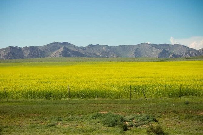 Immersive Mongolian Gobi experience, Camel, Cousine, Stargaze, 2D - Who Will Enjoy This Trip Most?