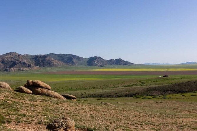 Immersive Mongolian Gobi experience, Camel, Cousine, Stargaze, 2D - Should You Book the Mongolian Gobi Experience?