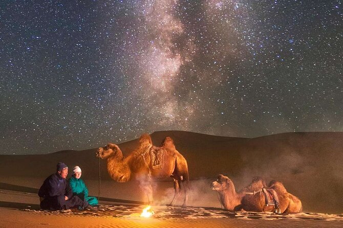Immersive Mongolian Gobi experience, Camel, Cousine, Stargaze, 2D - From Grassland to Elsen Tasarkhai’s Dunes