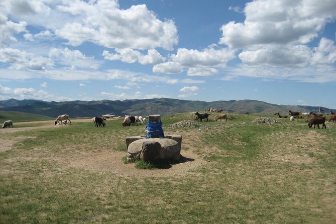 Mini Gobi and the ancient capital Kharkhorin - 4 days - Key points to know before booking
