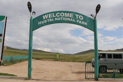 Mongol Nomadic & Khustai National Park Private Full Day Tour