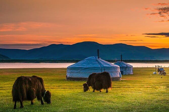 Mongolia - Sedan, Lexus, UAZ Minivan, 4WD Tour& Transport Service - Short Rides and Multi-Day Routes