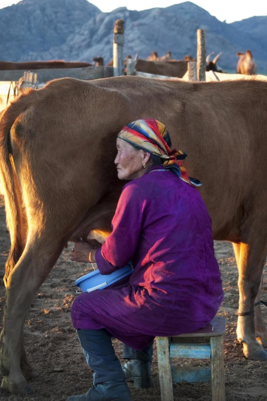 MONGOLIAN NOMADS: 2-Day Horse Trekking & Cow Milking Tour - What the $369 price includes