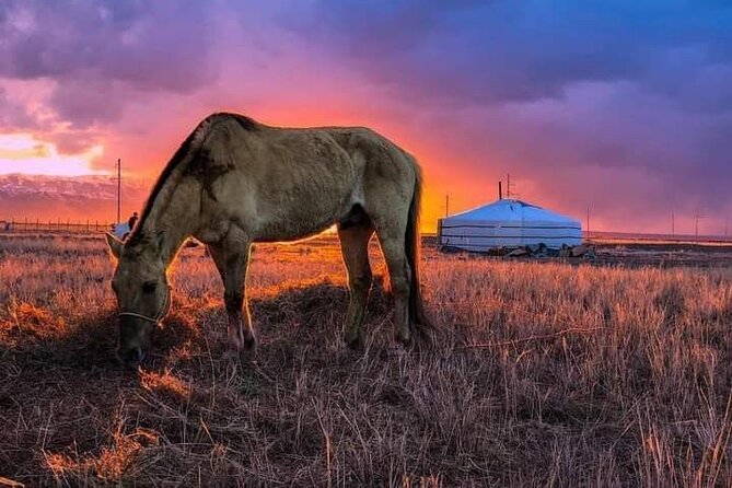 Mongolian Tour to Ancient Capital City of Mongol Empire - Why this seven-day route works