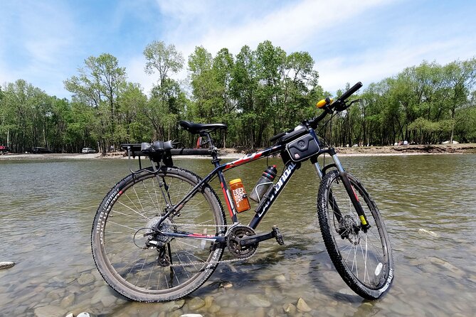 Mountain Bike (MTB) Rental - Who will get the most from this ride