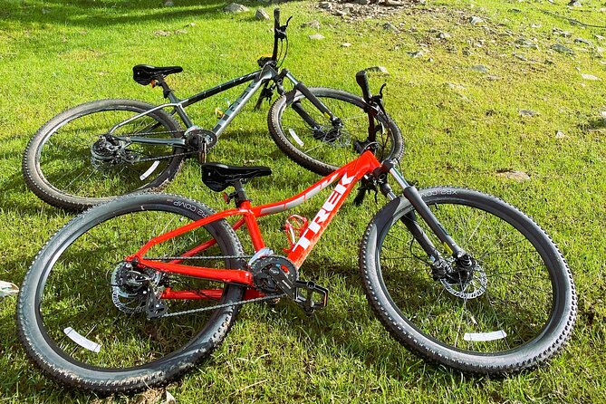 Mountain Bike (MTB) Rental - Choosing the right Trek mountain bike