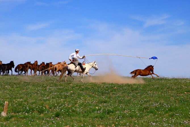 Nomad Ride - Getting acquainted with the Mongolian horse