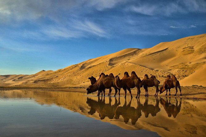 Overnight Semi-Gobi Tour with Nomadic HomeStay - Breakfast, Then Seven Hours Back