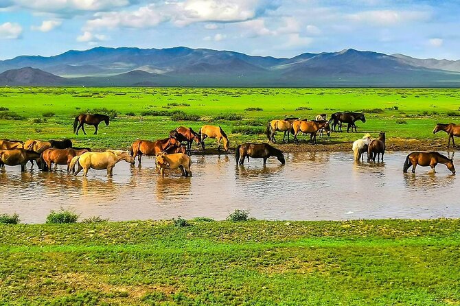 Personalized 12 Days Mongolia Family Tour with Car and Guide - Returning to Ulaanbaatar and Saying Goodbye
