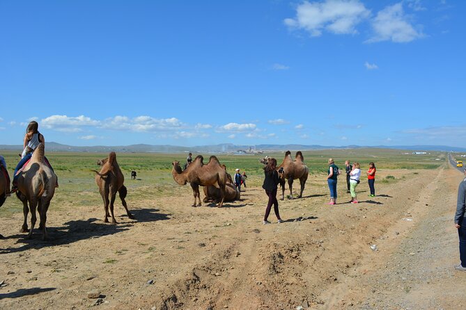 Private Day Tour: Terelj National Park + Genghis Khan's Statue .. - Lunch, private transport, and the value of $184