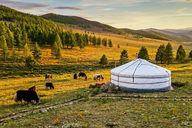 Private Multiday Tour in Gobi Desert - Ger camps and meals on the road