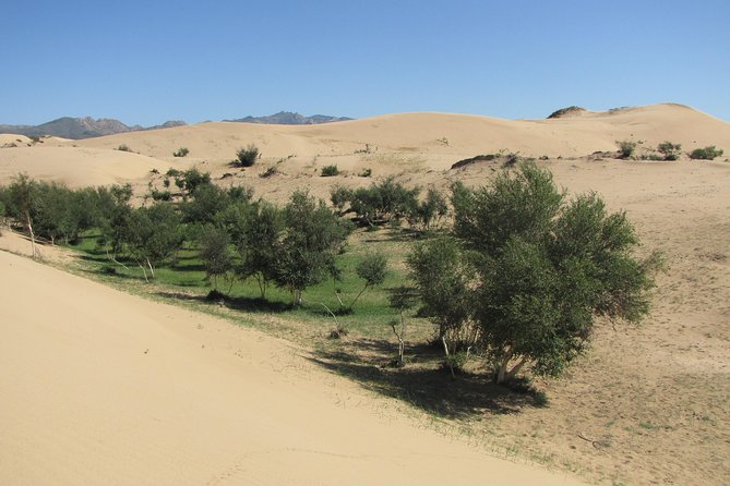 The Best of Central Mongolia Tour in 5 Days - Why this five-day route works