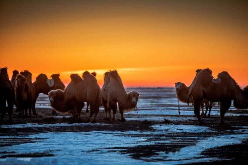 Ulaanbaatar: 4-Day Central Mongolia Winter Tour - Why this four-day route works