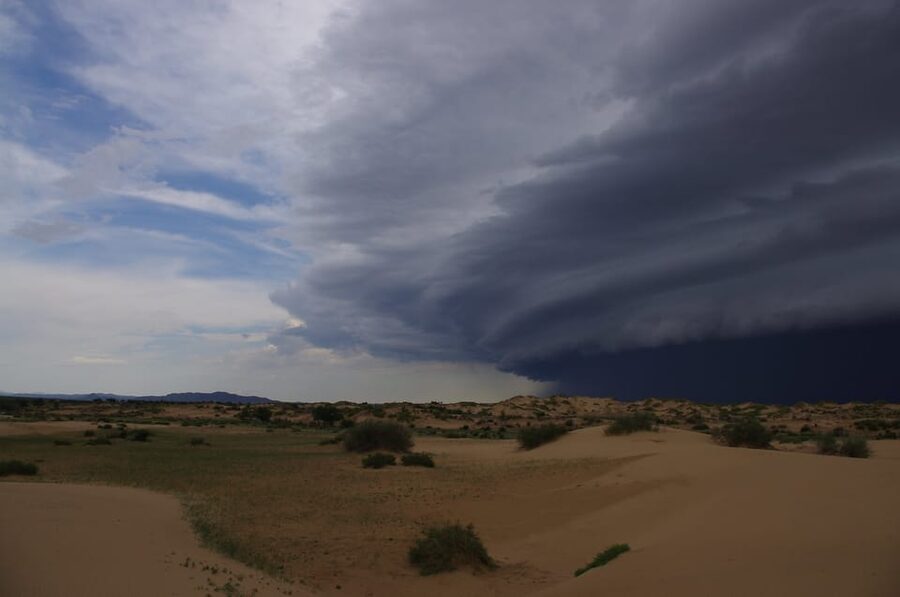 Ulaanbaatar: Semi-Gobi Desert Day Trip & Camel Ride - Who should book this day trip?