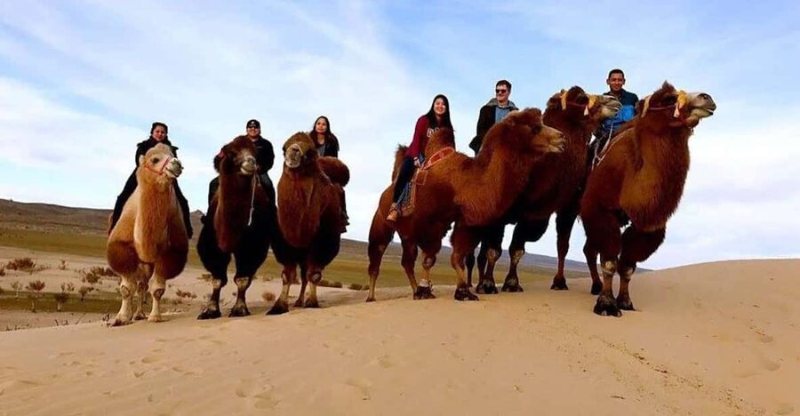 Ulaanbaatar: Semi-Gobi Desert Day Trip & Camel Ride - Is $175 good value for one day?