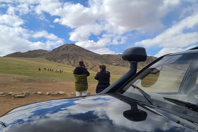 Wildlife Watching Day Tour at Hustai National Park - Why Hustai’s takhi matter